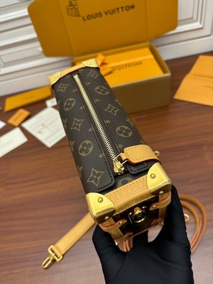 Kahverengi Presbiyopik Kanvas Louis Vuitton LV Yan Gövde Monogram PM Çanta Bavul