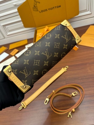 Kahverengi Presbiyopik Kanvas Louis Vuitton LV Yan Gövde Monogram PM Çanta Bavul