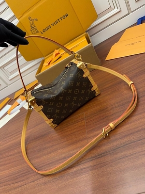 Kahverengi Presbiyopik Kanvas Louis Vuitton LV Yan Gövde Monogram PM Çanta Bavul
