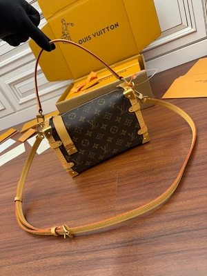 Kahverengi Presbiyopik Kanvas Louis Vuitton LV Yan Gövde Monogram PM Çanta Bavul