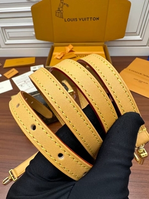 Kahverengi Presbiyopik Kanvas Louis Vuitton LV Yan Gövde Monogram PM Çanta Bavul