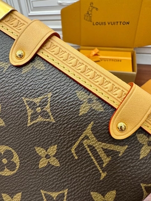 Kahverengi Presbiyopik Kanvas Louis Vuitton LV Yan Gövde Monogram PM Çanta Bavul