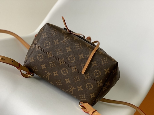 Monogram Shadow Dana Derisi LV Montsouris PM Sırt Çantası Ayrılabilir Tılsım