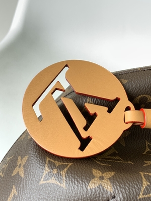 Monogram Shadow Dana Derisi LV Montsouris PM Sırt Çantası Ayrılabilir Tılsım