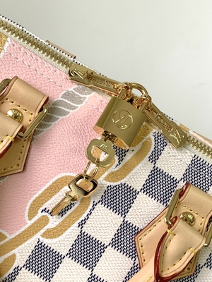 Kuşe Kanvas Speedy Louis Vuitton Damier Azur 25 M46390